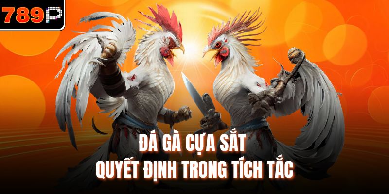 Đá gà cựa sắt quyết định trong tích tắc