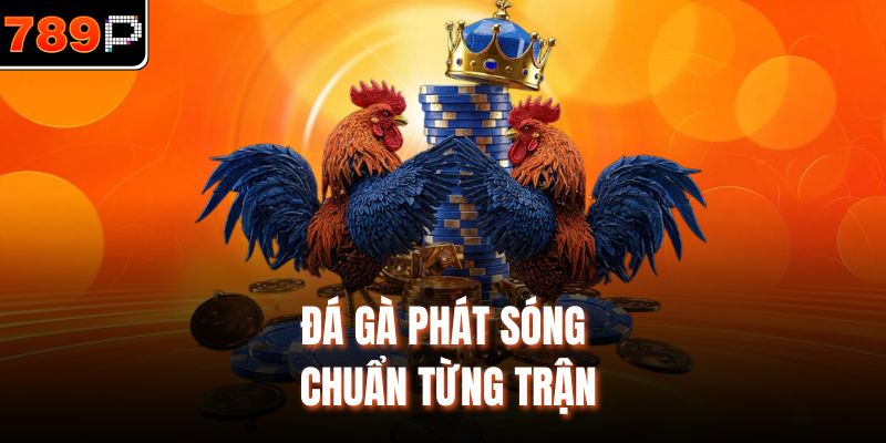 Đá gà phát sóng chuẩn từng trận