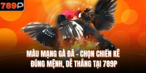 Màu mạng gà đá
