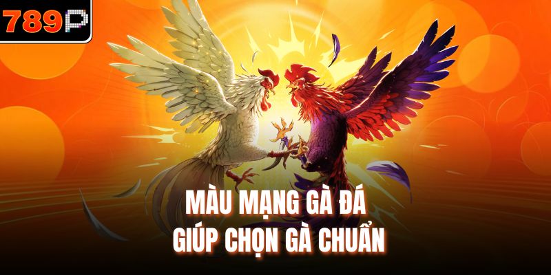 Màu mạng gà đá giúp chọn gà chuẩn