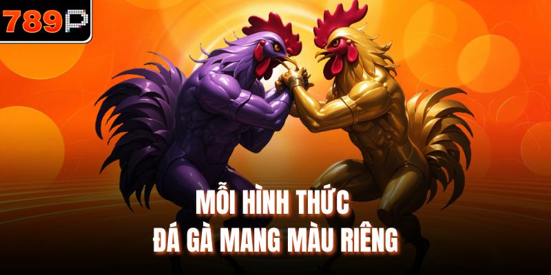 Mỗi hình thức đá gà mang màu riêng