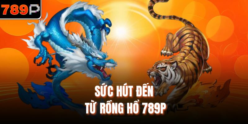 Sức hút đến từ rồng hổ 789p