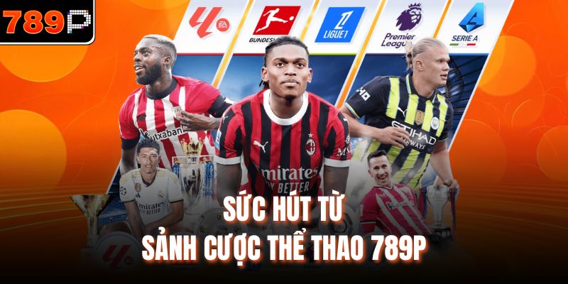Sức hút từ sảnh cược thể thao 789p