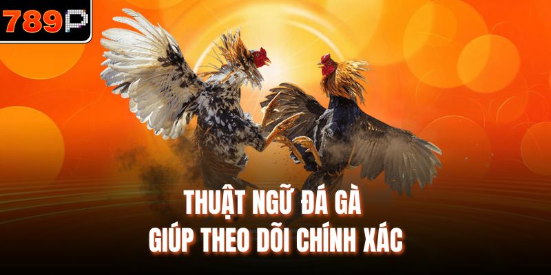 Thuật ngữ đá gà giúp theo dõi chính xác